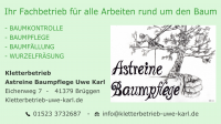 werbung_astrein.png